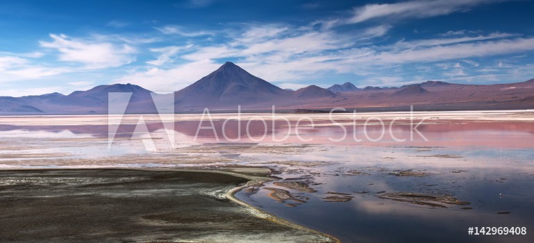 Image de Colorada lagoon with flamingos on the plateau Altiplano Eduardo Avaroa Andean Fauna National Reserve Bolivia